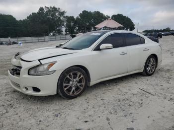  Salvage Nissan Maxima