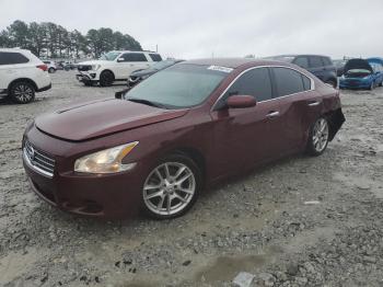  Salvage Nissan Maxima