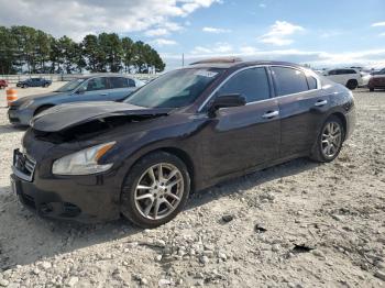  Salvage Nissan Maxima