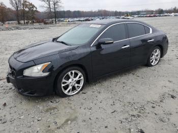  Salvage Nissan Maxima