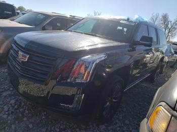  Salvage Cadillac Escalade