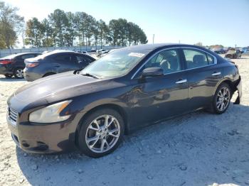  Salvage Nissan Maxima