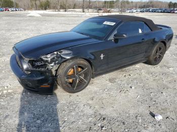  Salvage Ford Mustang