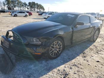  Salvage Ford Mustang