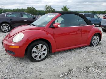 Salvage Volkswagen Beetle
