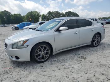  Salvage Nissan Maxima