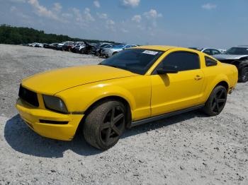  Salvage Ford Mustang