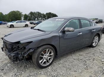  Salvage Nissan Maxima