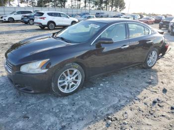  Salvage Nissan Maxima
