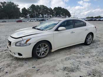  Salvage Nissan Maxima
