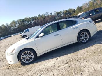  Salvage Nissan Maxima