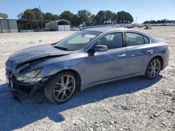  Salvage Nissan Maxima