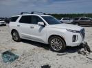 Hyundai PALISADE Limited Image 10