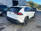 Toyt RAV4 Le Image 5