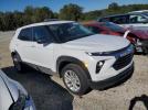Chevrolet Trailblazer Ls Image 8