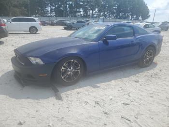  Salvage Ford Mustang