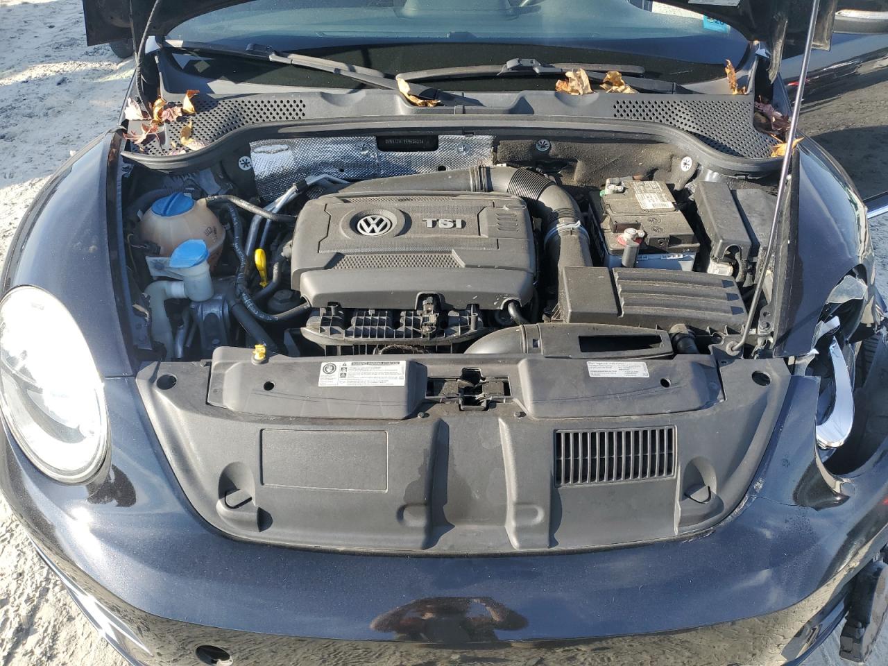 Volkswagen Beetle Turbo Image 7