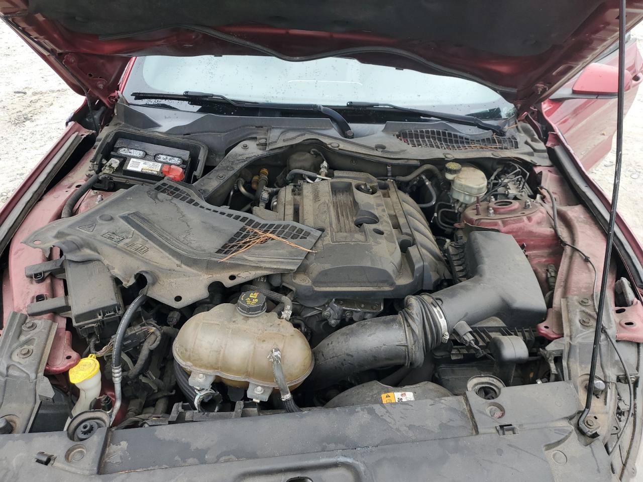 Ford Mustang Image 2