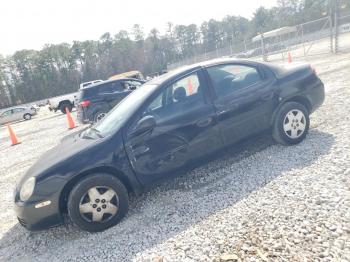 Salvage Dodge Neon