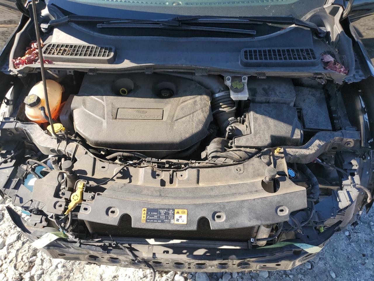 Ford Escape Titanium Image 7