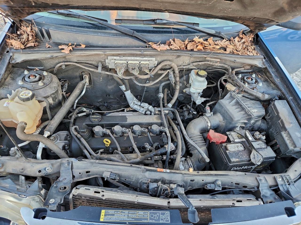 Ford Escape Xls Image 4