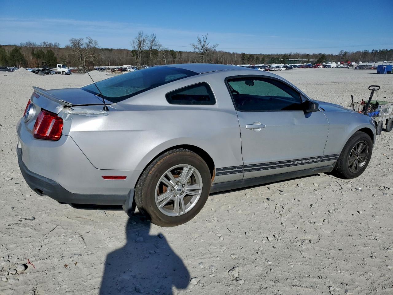 Ford Mustang Image 3