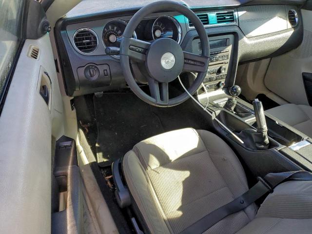 Ford Mustang Image 11