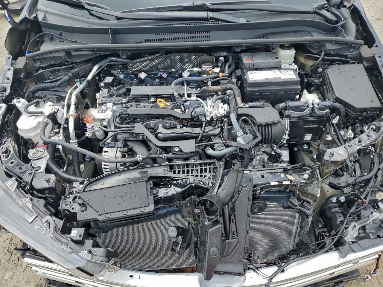 Toyota Corolla Le Image 12