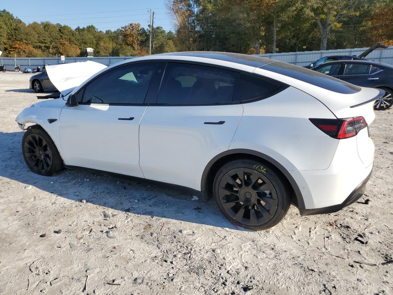 Tesla Model Y Image 7