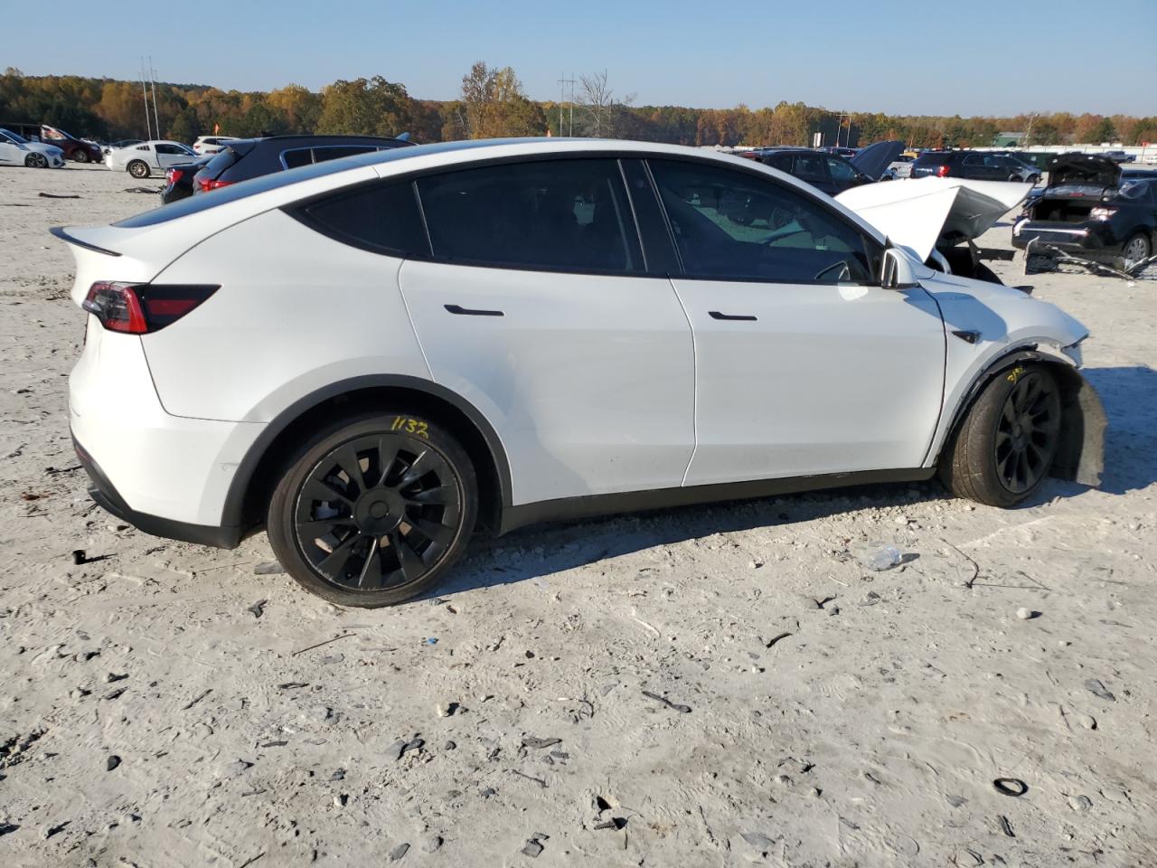 Tesla Model Y Image 5