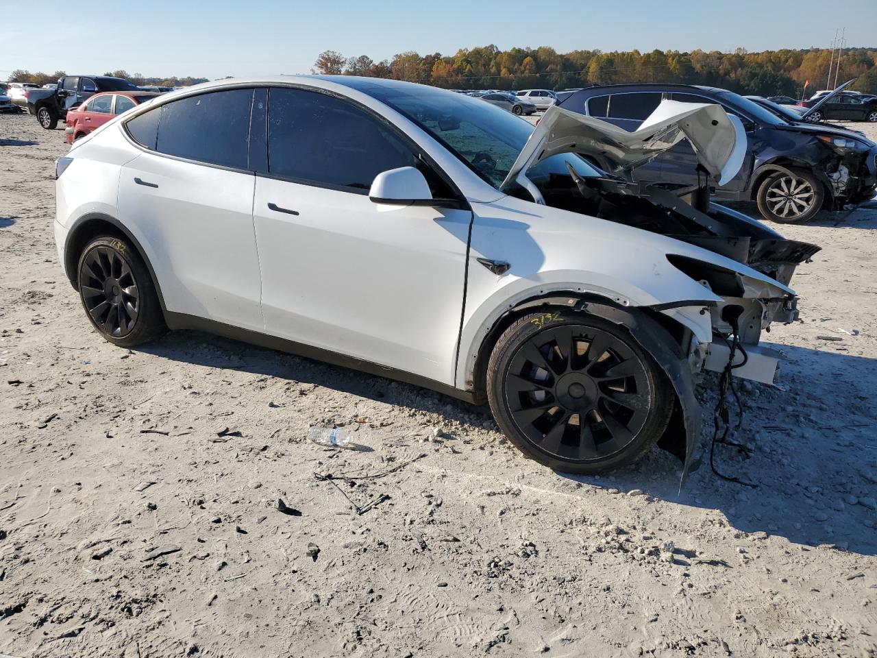 Tesla Model Y Image 4