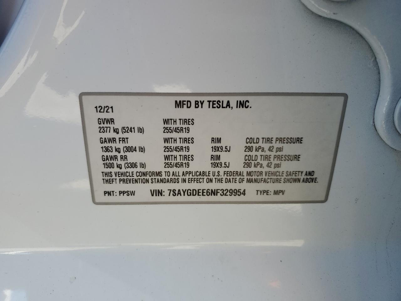 Tesla Model Y Image 8