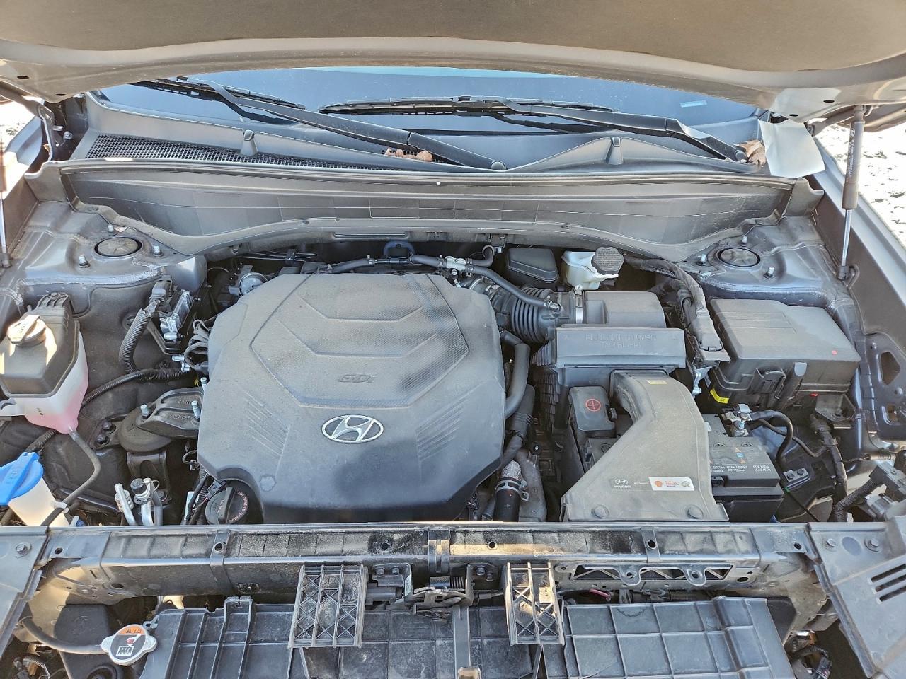 Hyundai PALISADE Sel Image 13