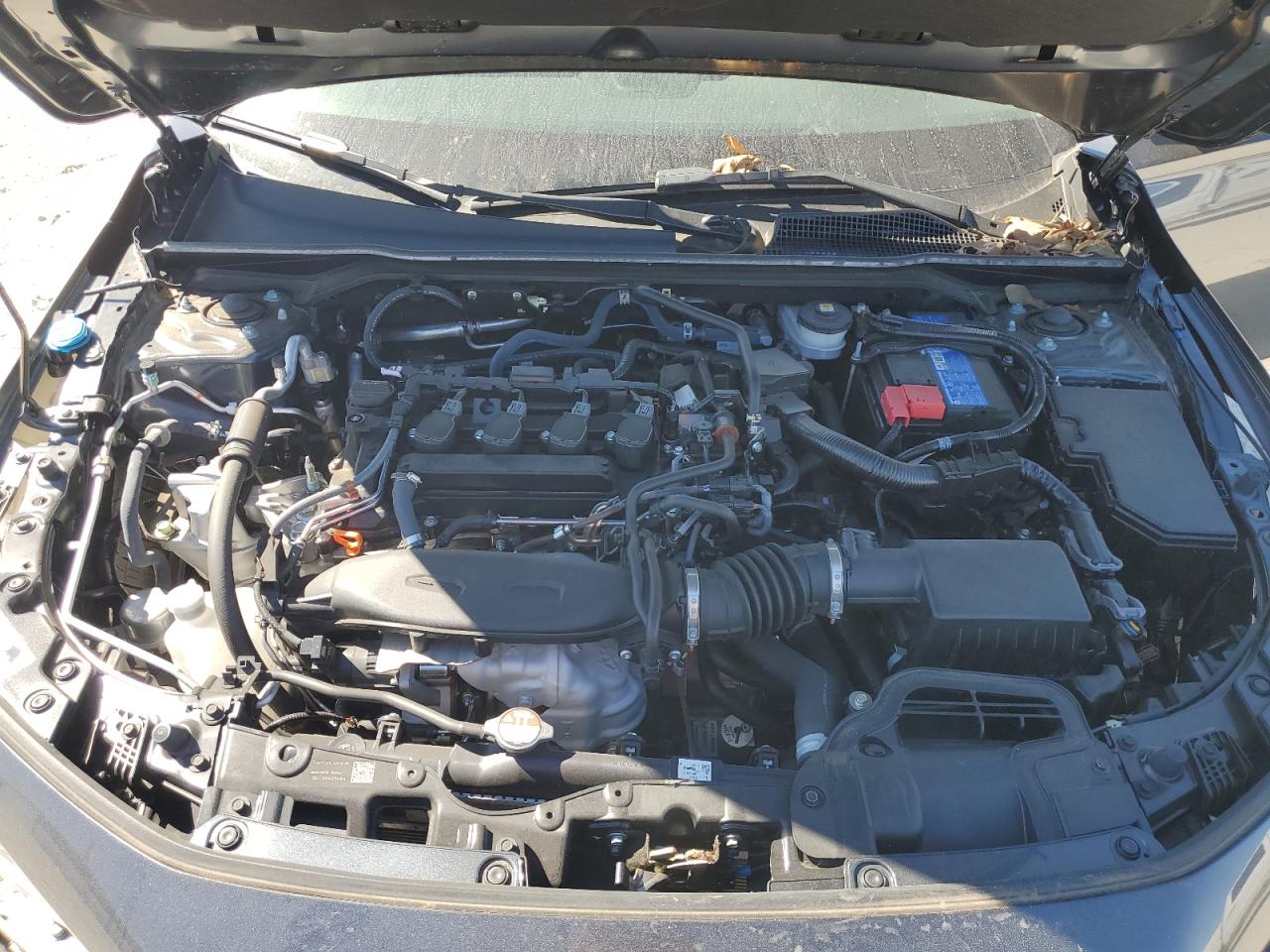 Honda Civic Touring Image 10