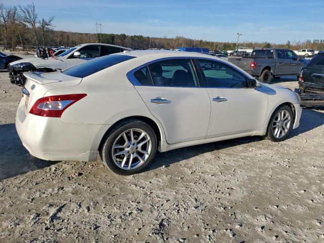 Nissan Maxima S Image 3