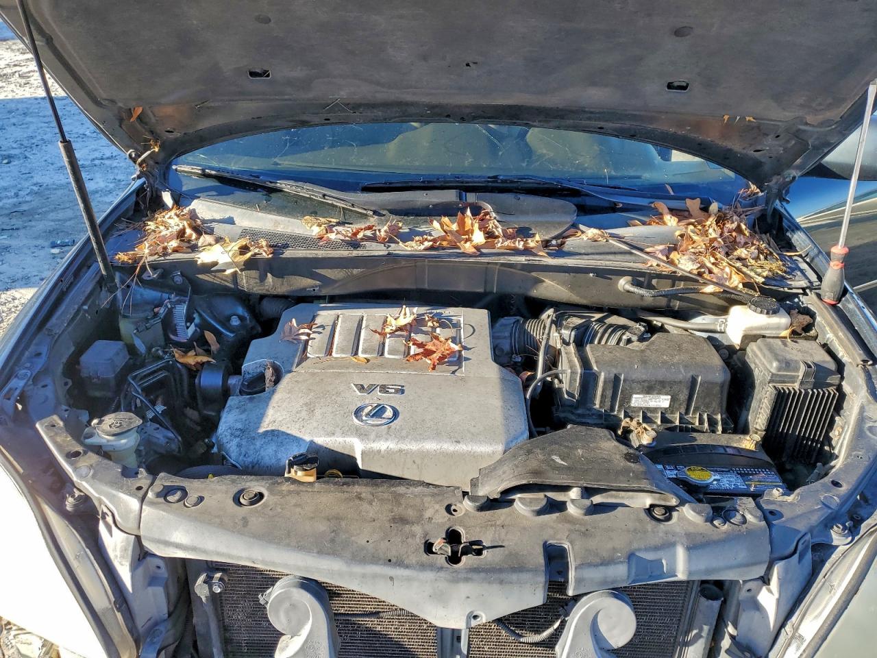 Lexus RX 350 Image 13