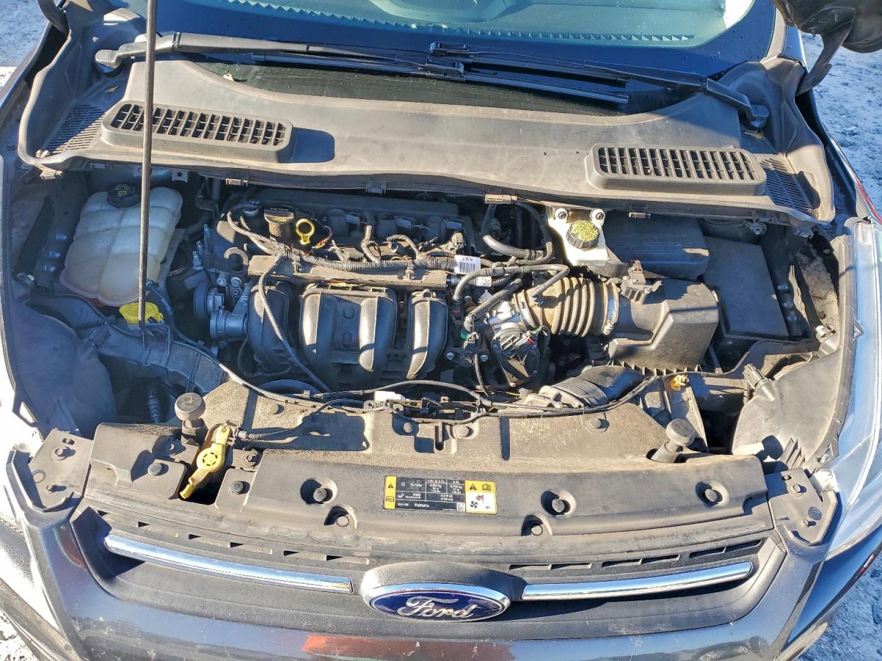 Ford Escape Se Image 10