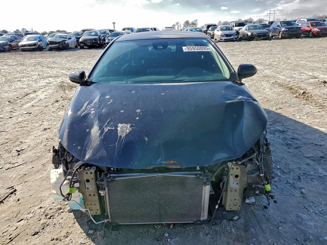 Toyota Corolla Le Image 7