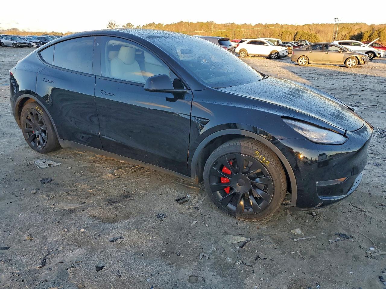 Tesla Model Y Image 2