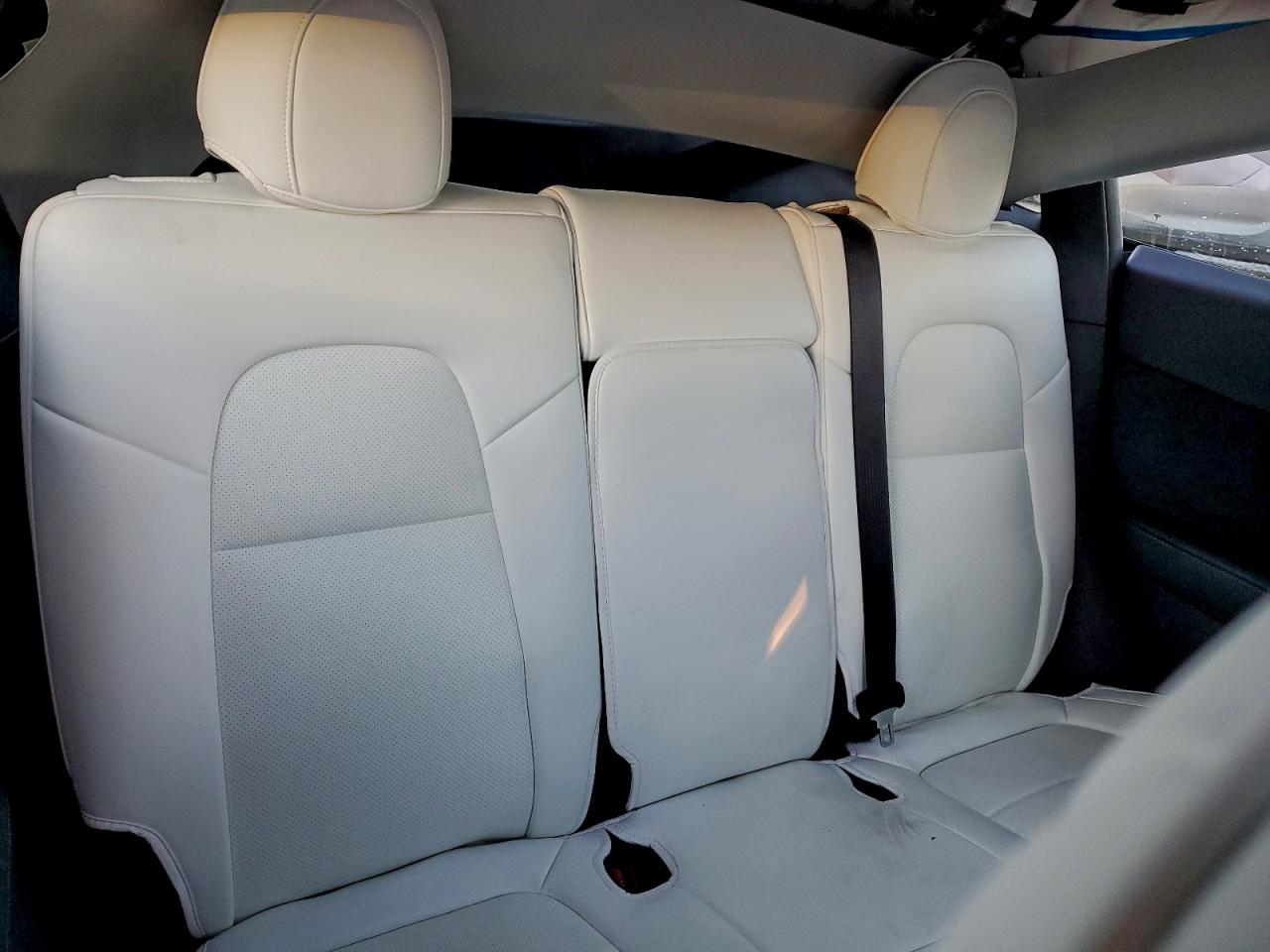 Tesla Model Y Image 11