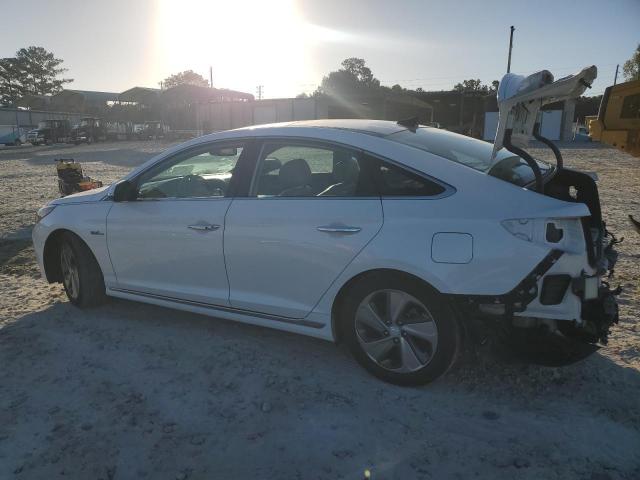 Hyundai SONATA Hybrid Image 3