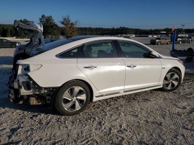 Hyundai SONATA Hybrid Image 13