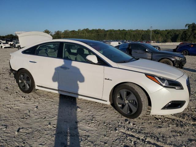 Hyundai SONATA Hybrid Image 7