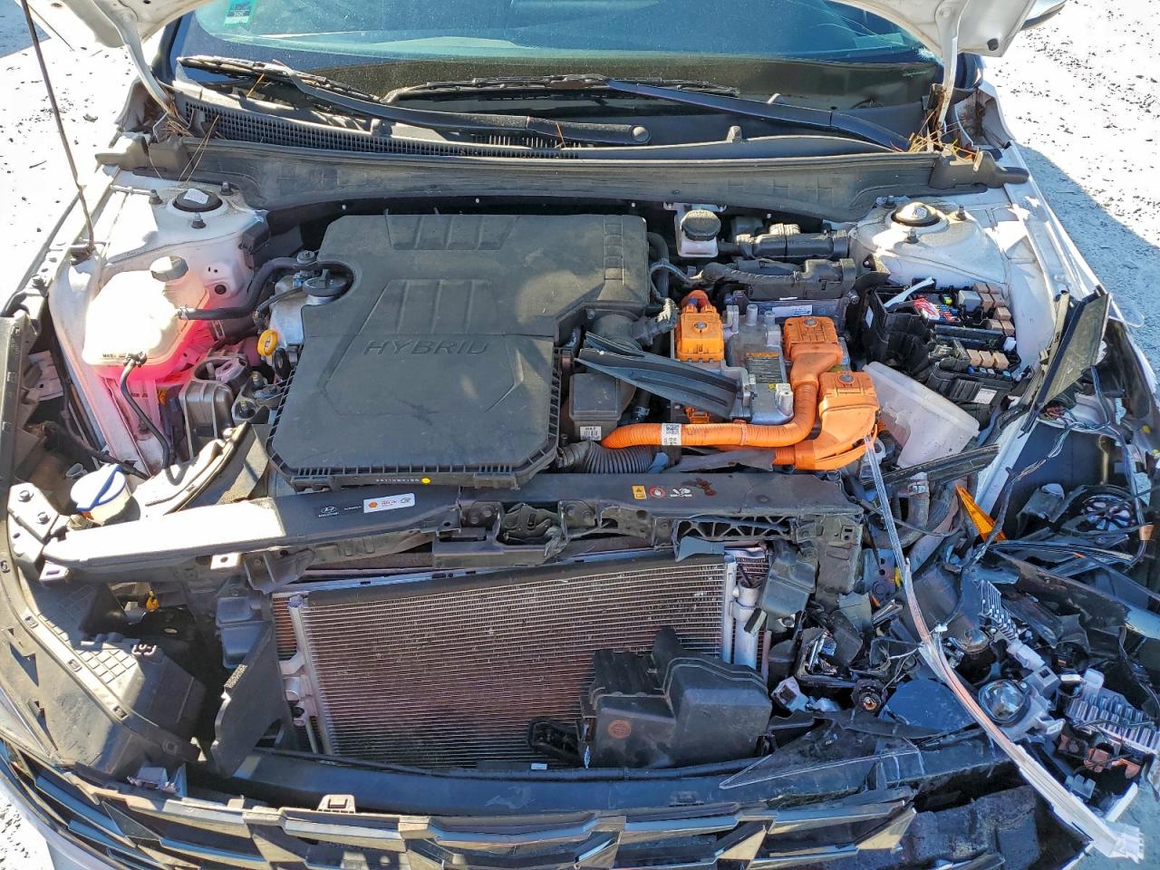 Hyundai ELANTRA Limited Image 11