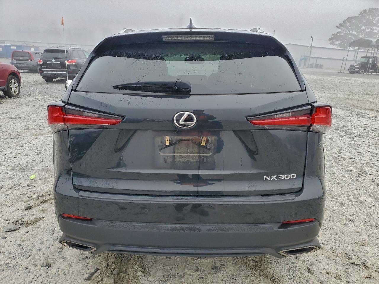 Lexus NX 300 Base Image 13