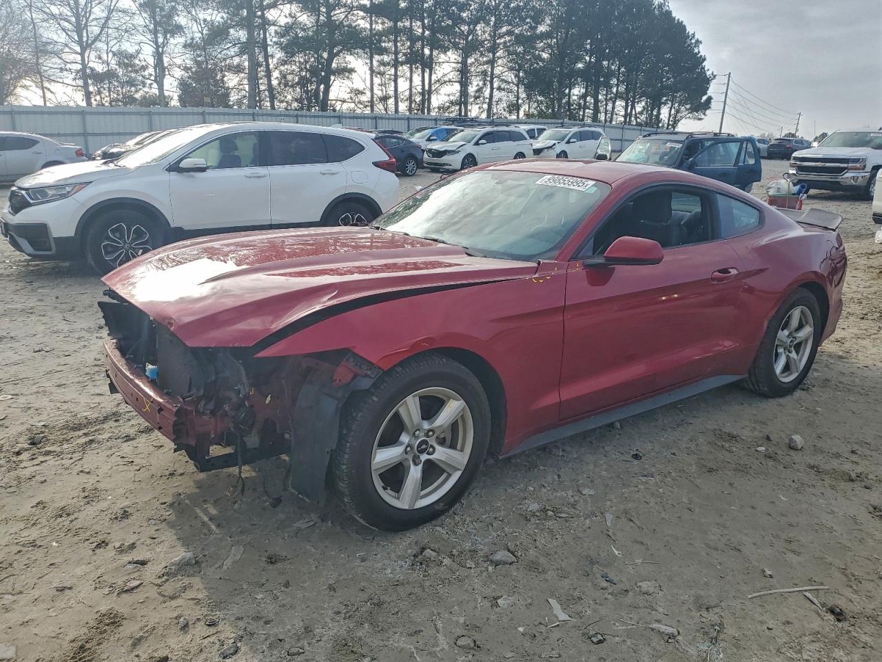 Ford Mustang Image 1