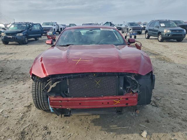 Ford Mustang Image 3